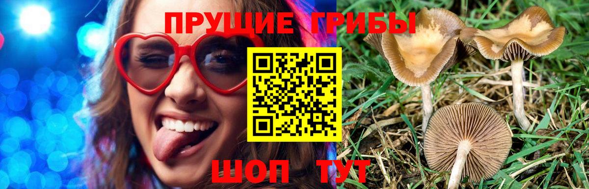 Псилоцибиновые грибы мицелий  Вход с VPN  наркотики  Челябинск 