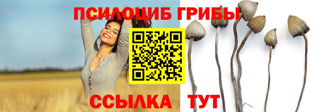 Псилоцибиновые грибы Magic Shrooms Челябинск